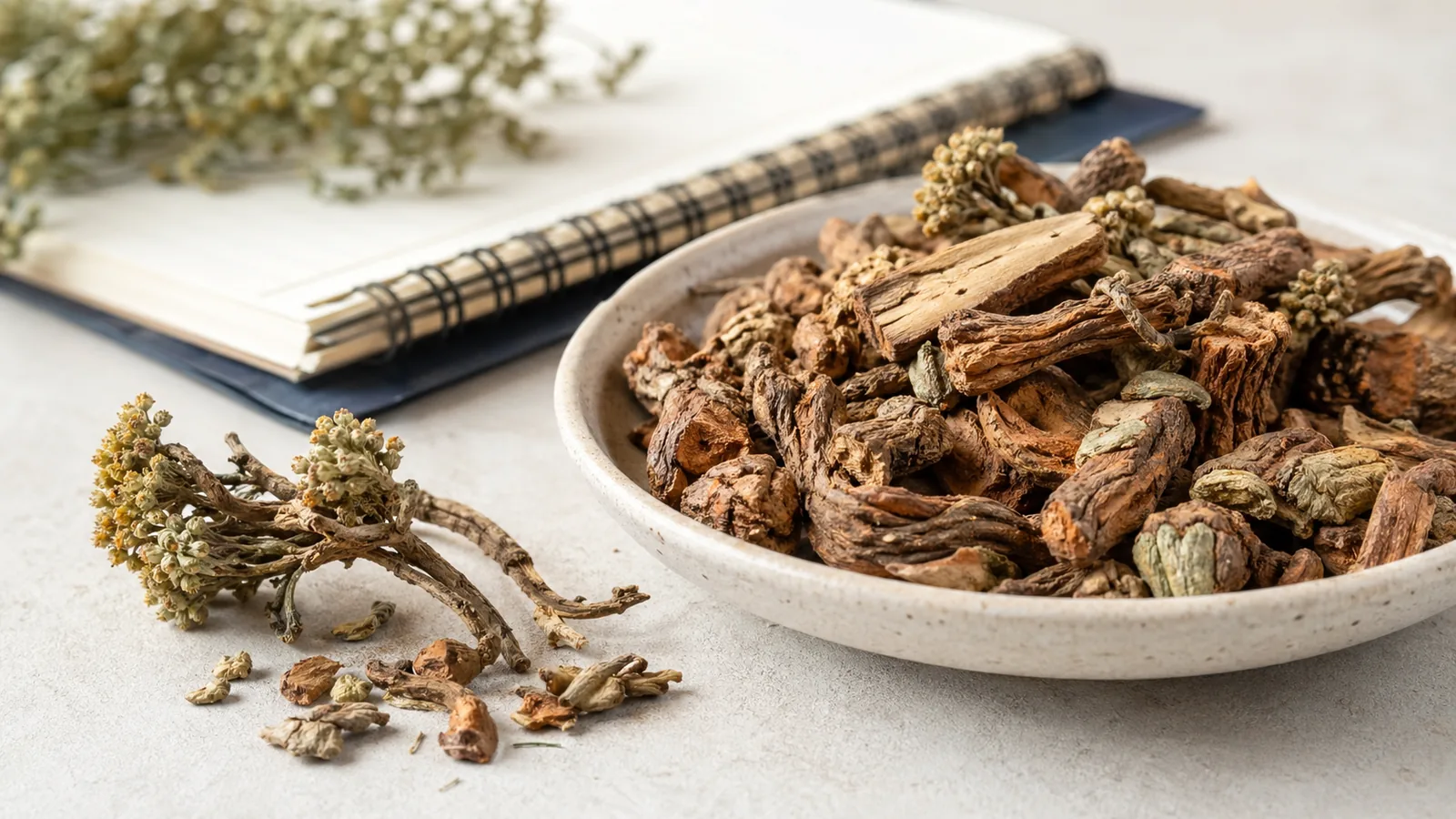 Rhodiola rosea root used in focus and fatigue support supplements